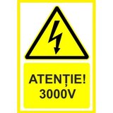 Placuta atentie 3000v